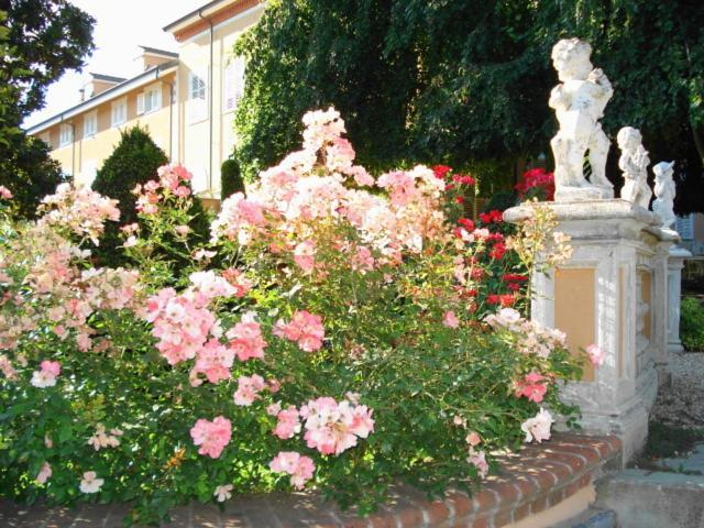Park Hotel Villa Salzea Trofarello Exteriör bild